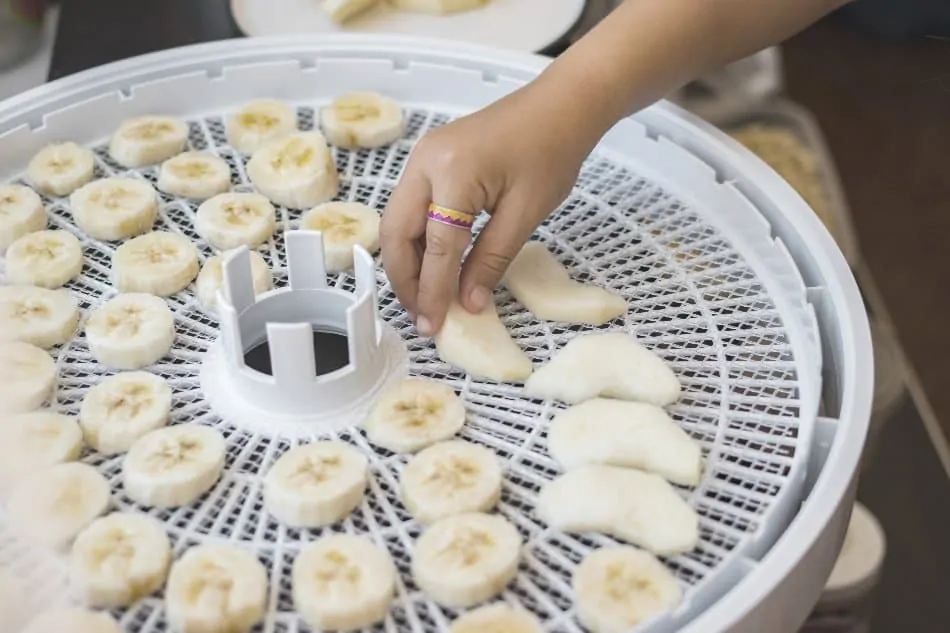 child places sliced bananas onto dehydrators tray