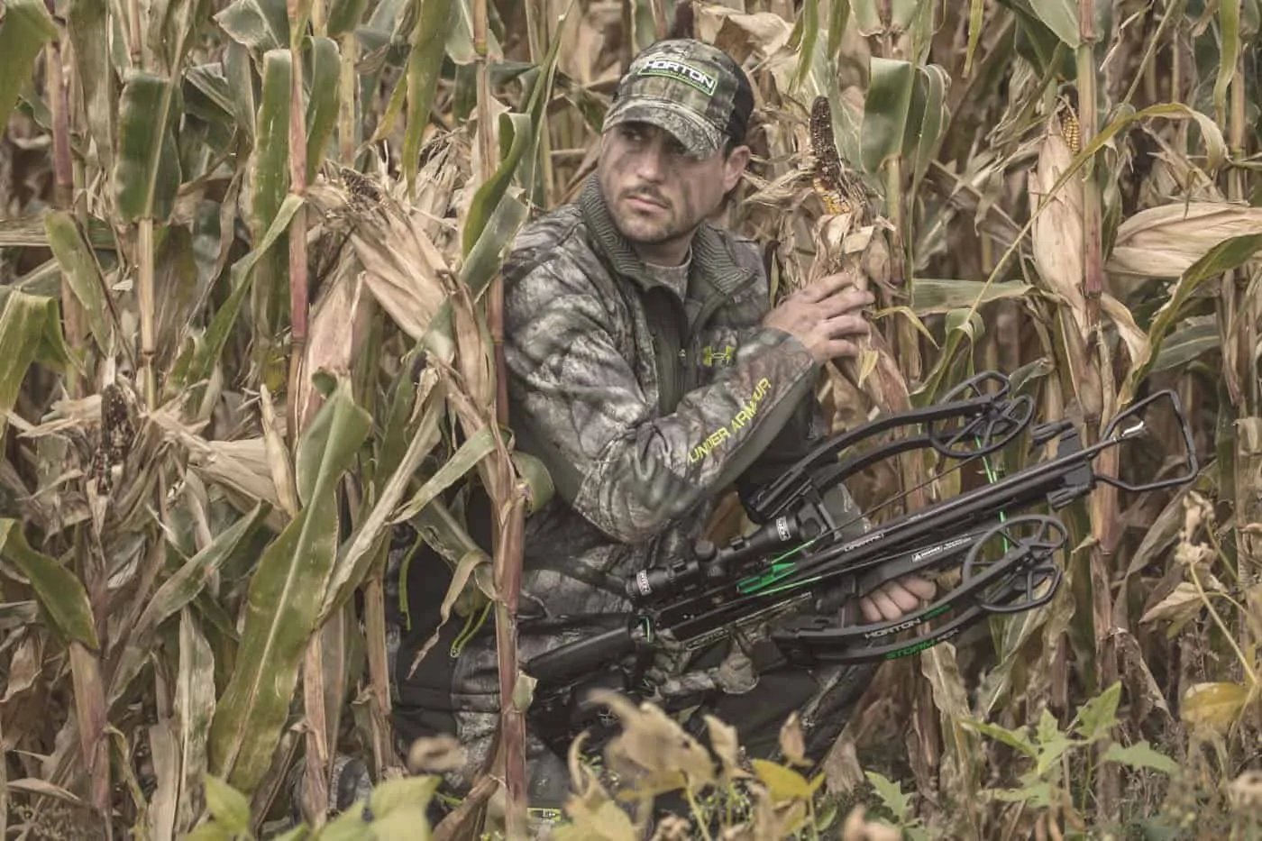 hunting man hiding in the corn fields with his crossbow