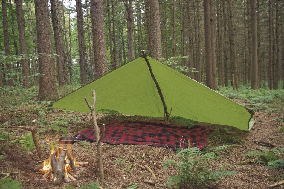 tarp shelter in woods