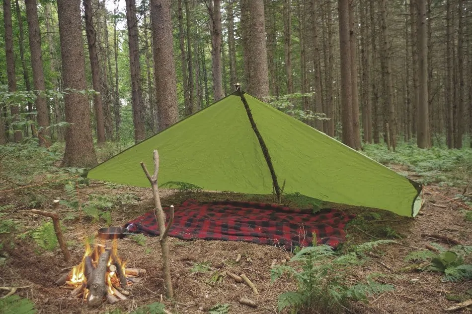 tarp shelter in woods