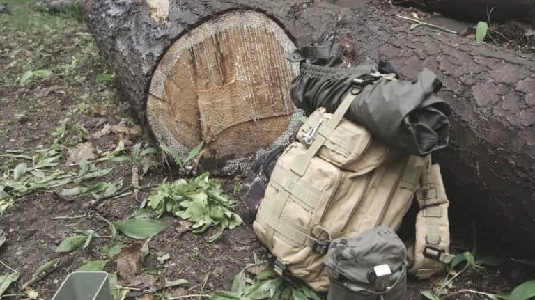 tactical backpack in the forest