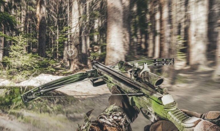 first person view on a huner holding a tactical crossbow in a forest