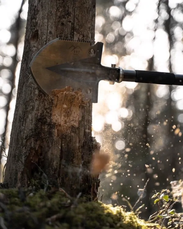 survival shovel being used to remove bark from a tree for kindling