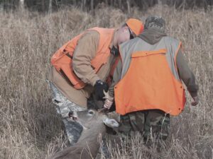 two crossbow hunters moving a deer after killing it