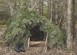 wilderness survival shelter in forest made from trees