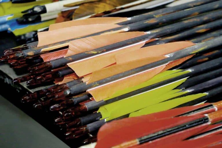 close up of crossbow fletching