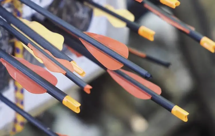 close up cluster of crossbow bolts in target
