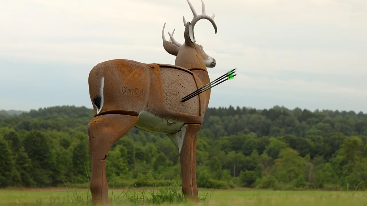 8 Best Arrows for Recurve Bow Hunting 2023 - Finest Carbon Selection