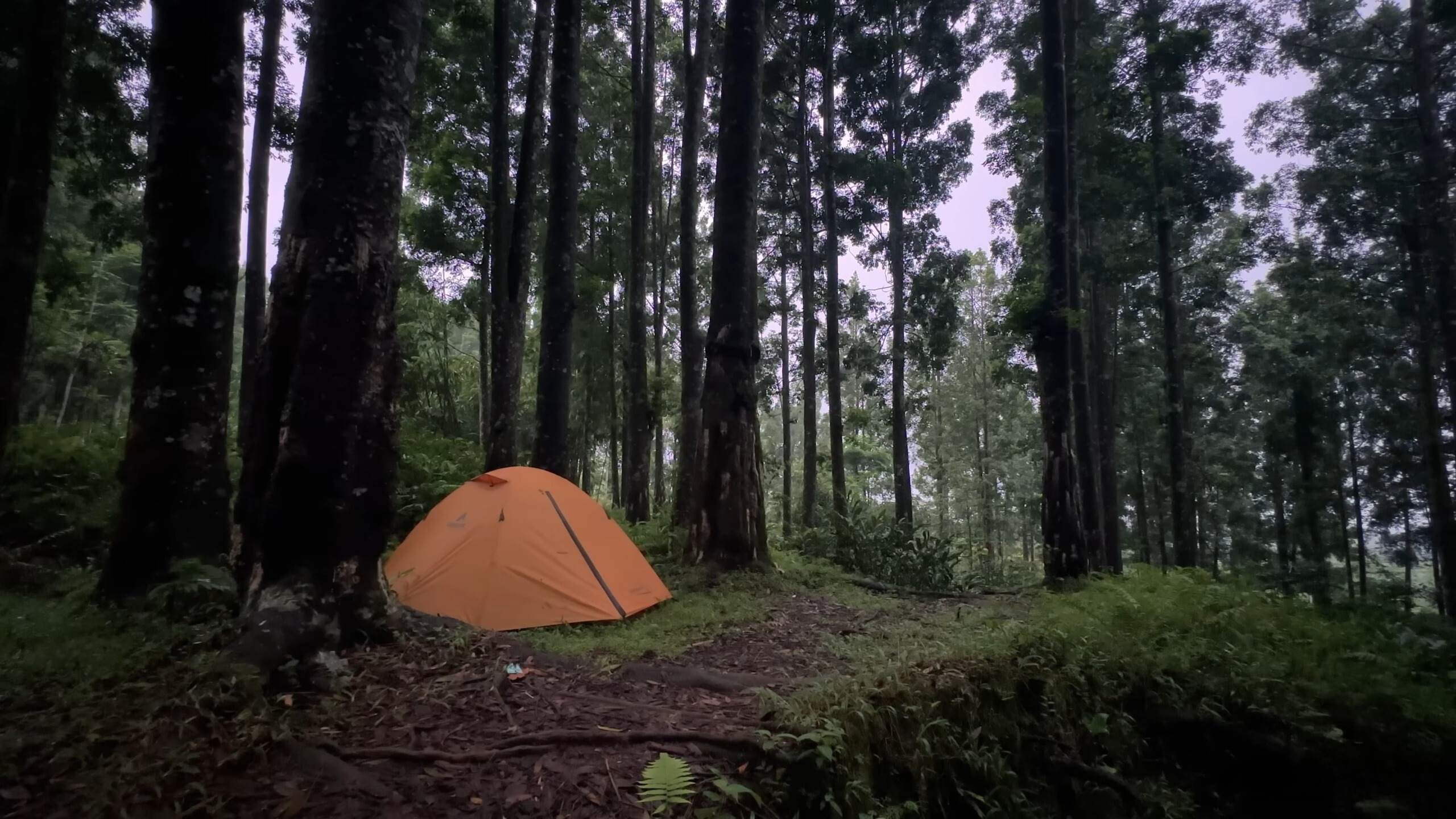 Campsite Privacy