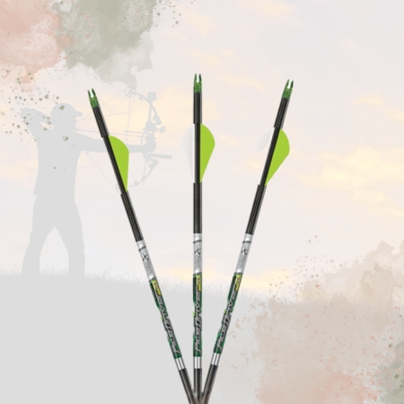 Carbon Express PileDriver Ds Hunter Arrows